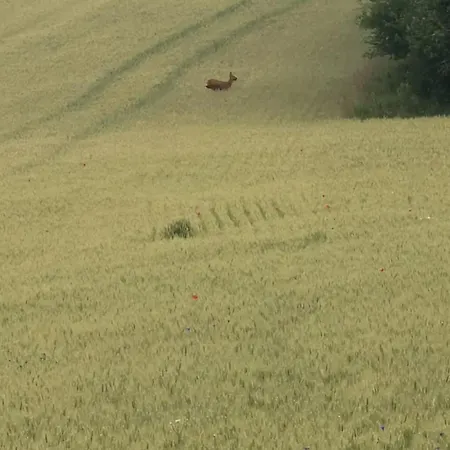 Activites Et Nature * Vignot